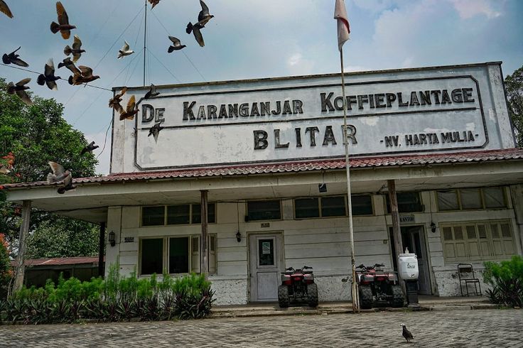 de karanganjar koffieplantage