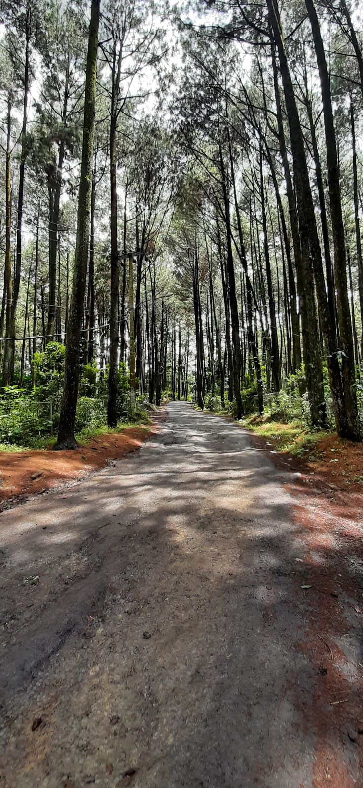 lokasi outbound dekat wisata pegunungan blitar