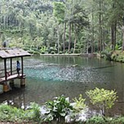 Eksplorasi Seru di Wisata Alam Rambut Monte, Blitar