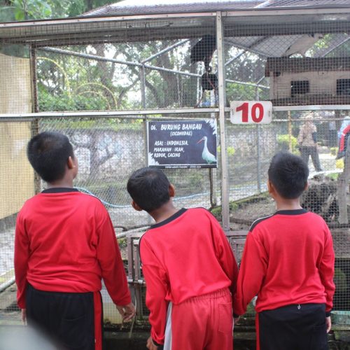 Paket Outbound Blitar Terbaik untuk Sekolah, Komunitas, dan Instansi